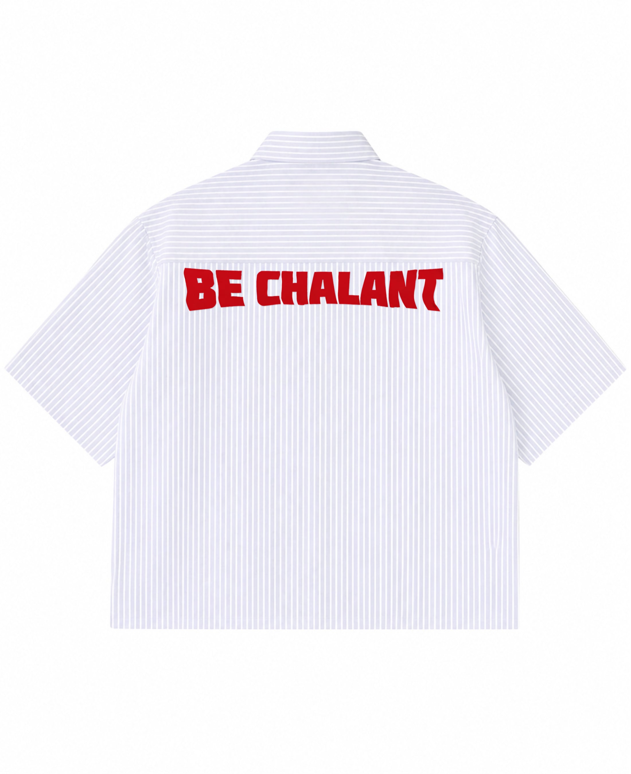 Blue Striped Oxford Boxy Shirt Back Design