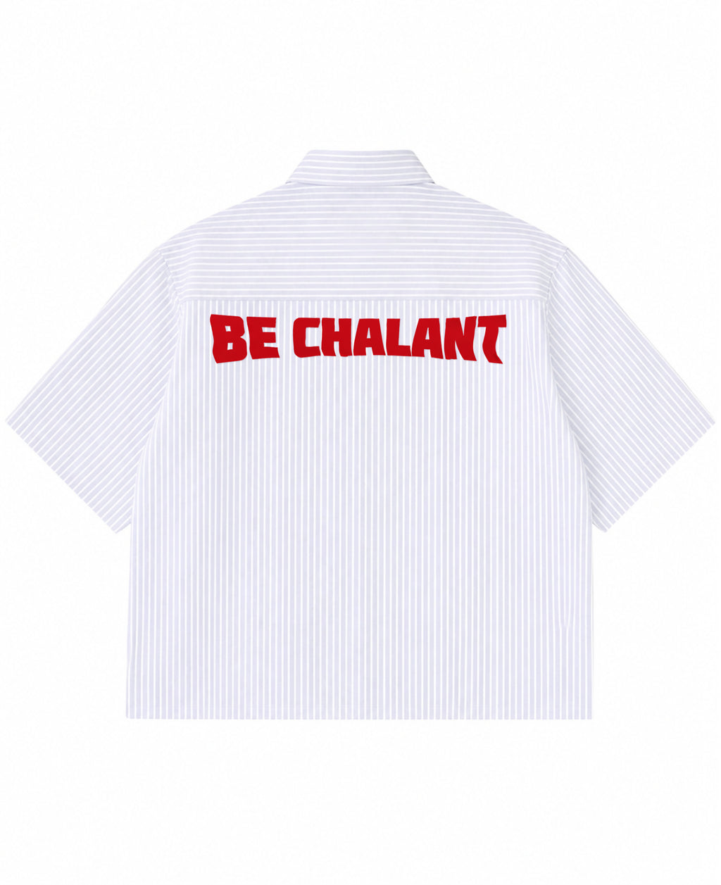 Blue Striped Oxford Boxy Shirt Back Design