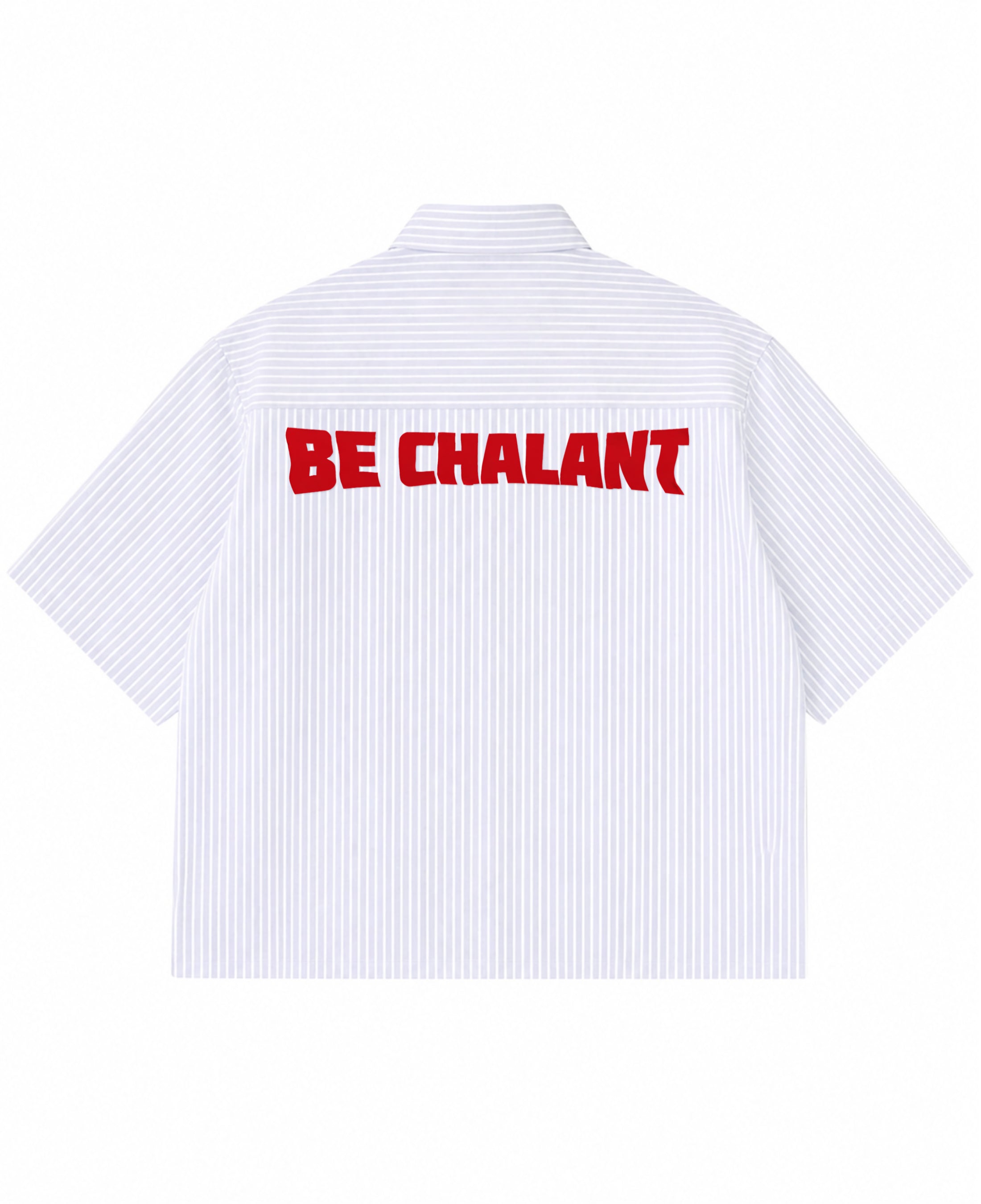 Blue Striped Oxford Boxy Shirt Back Design